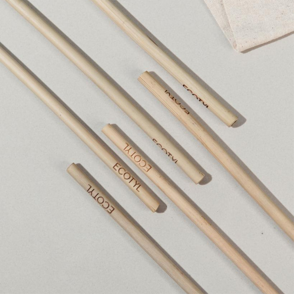 Bamboo Straw With Cleaning Brush - Set of 6 - Ecotyl - 100% Organic I Sustainable