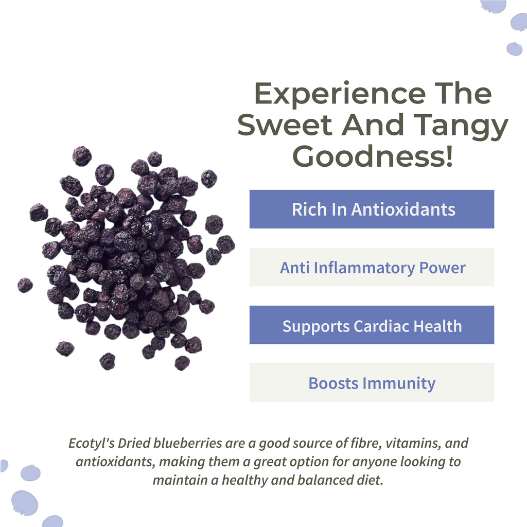 Natural Dried Blueberries - Ecotyl - 100% Organic I Sustainable
