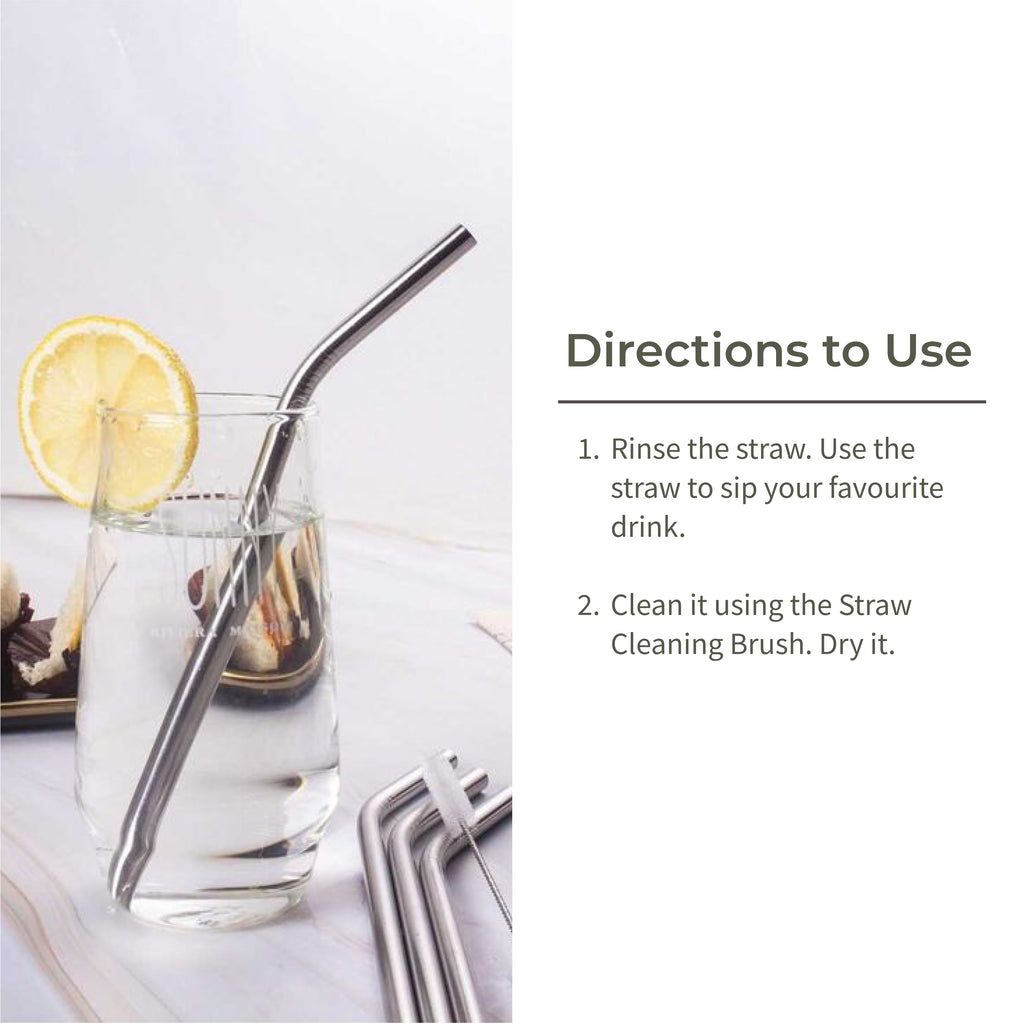 Stainless Steel Straw (Set of 4) + Cleaning Brush - Ecotyl - 100% Organic I Sustainable